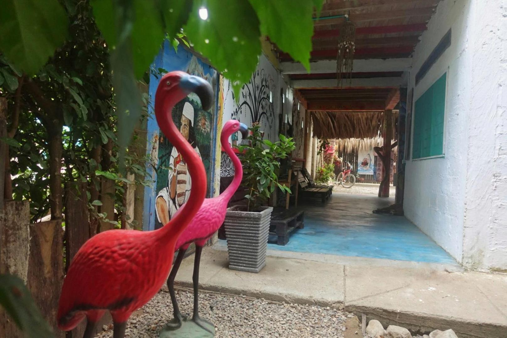 Hotel Casa Surf Mar Azul Palomino Esterno foto